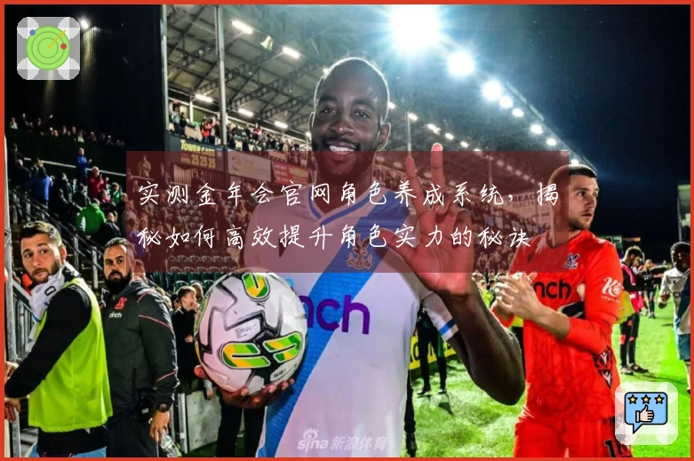 实测金年会官网角色养成系统，揭秘如何高效提升角色实力的秘诀