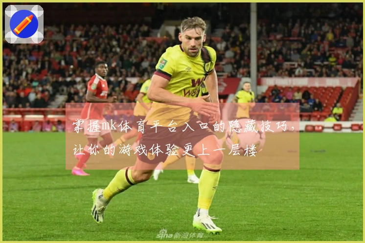 掌握mk体育平台入口的隐藏技巧，让你的游戏体验更上一层楼