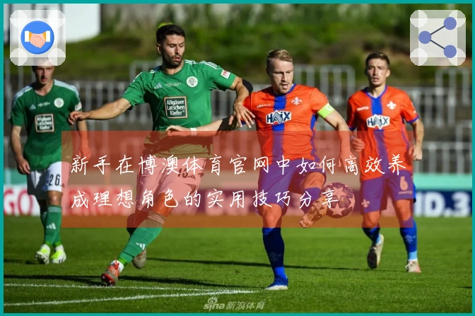 新手在博澳体育官网中如何高效养成理想角色的实用技巧分享